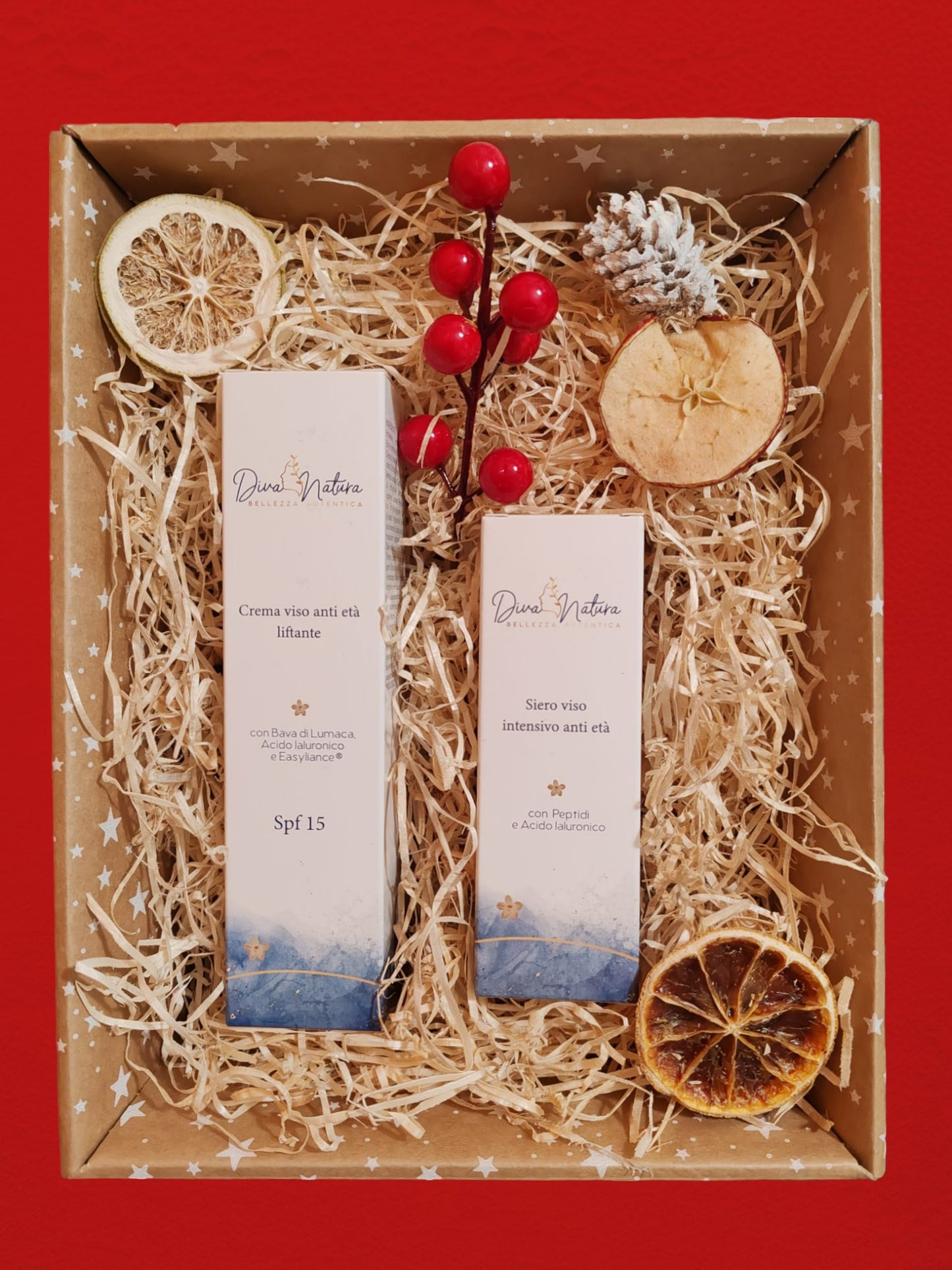 Cofanetto Regalo Premium Natale